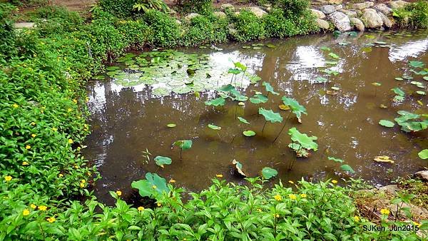 15-DSCN2232.JPG