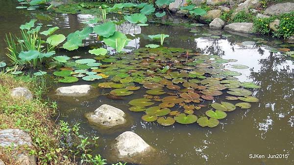21-DSCN2279.JPG