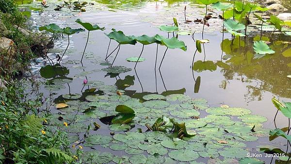 22-DSCN2457.JPG