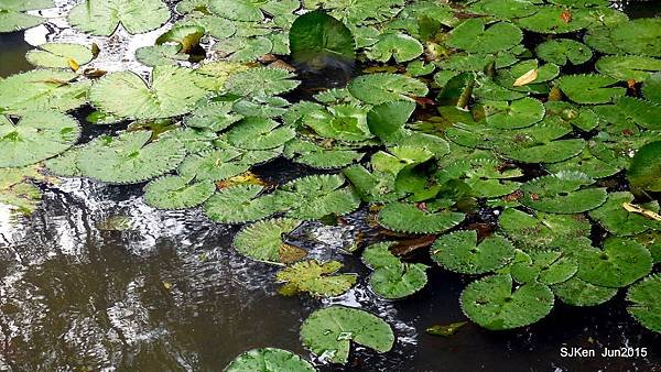 24-DSCN2470.JPG