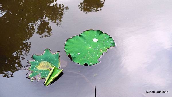 26-DSCN2469.JPG