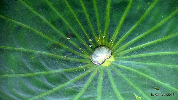 30-DSCN2389.JPG