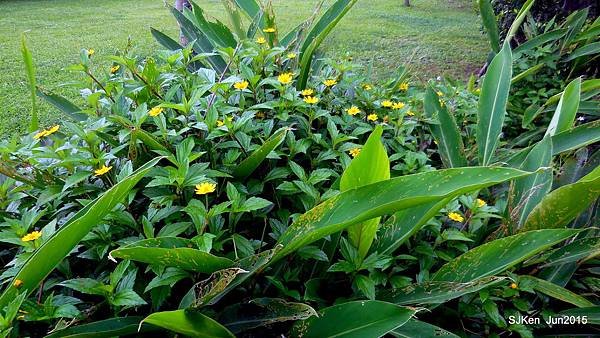 39-DSCN2513.JPG