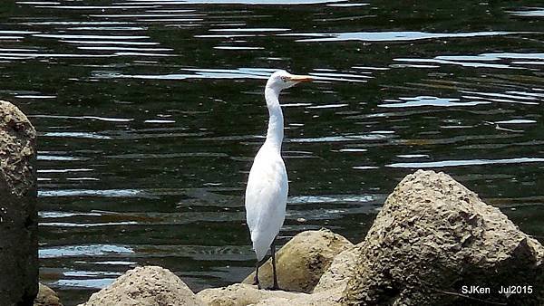 090-DSCN5715.jpg
