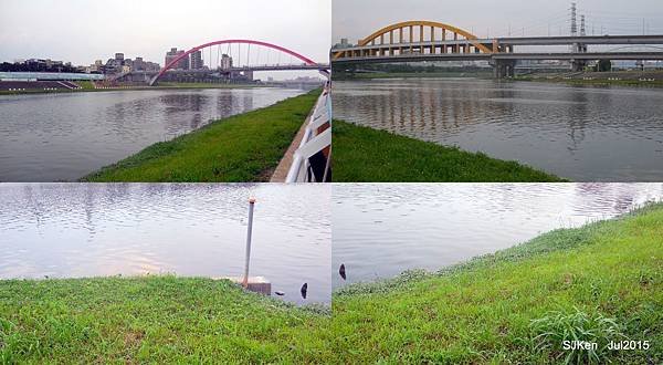 121-2015.07-031.jpg