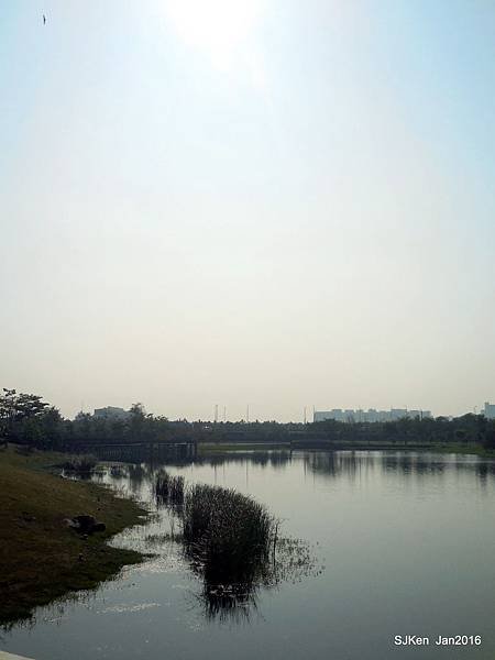 079-DSCN4992.JPG