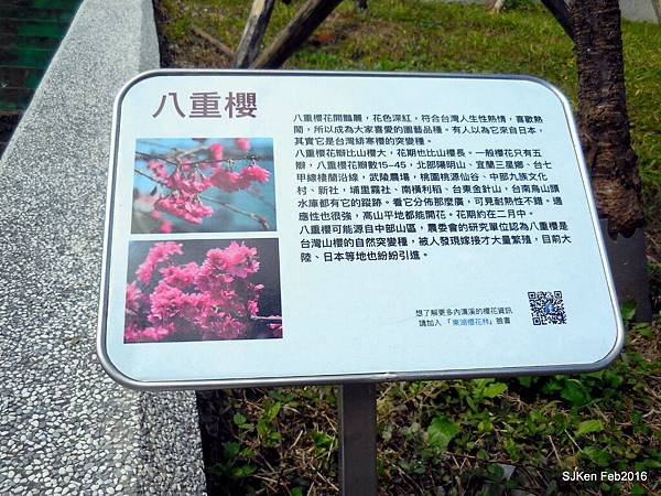 20-DSCN2516.JPG