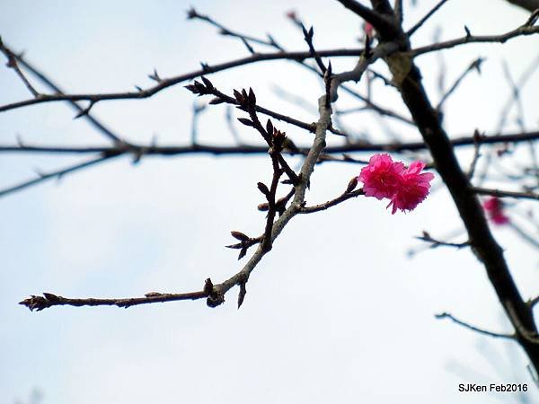 23-DSCN2519.JPG