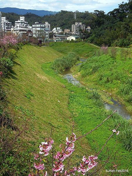 25-DSCN2530.JPG