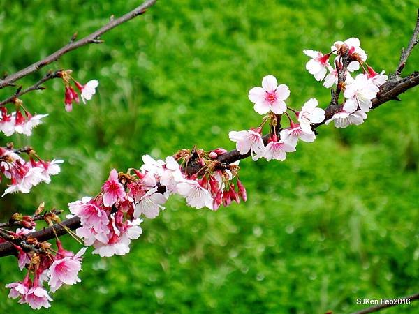 49-DSCN2580.JPG