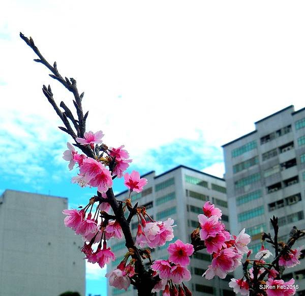 69-DSCN2572.JPG