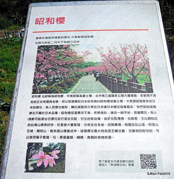77-DSCN2536.JPG
