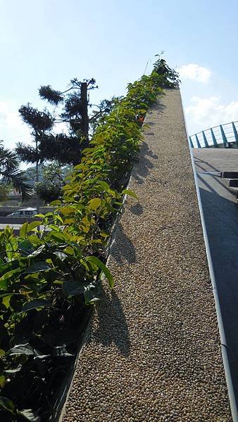 03-DSCN3118.JPG