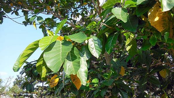 04-DSCN3121.JPG