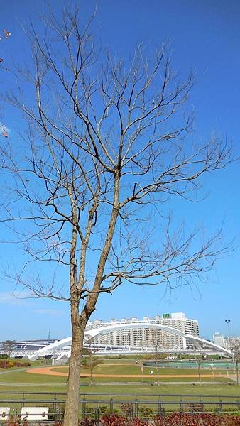 30-DSCN2970.JPG