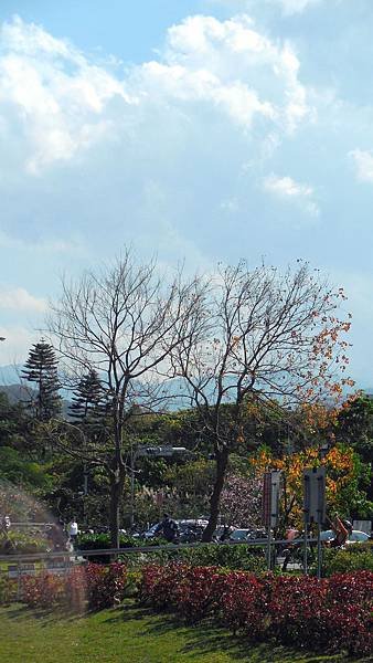31-DSCN2960.JPG