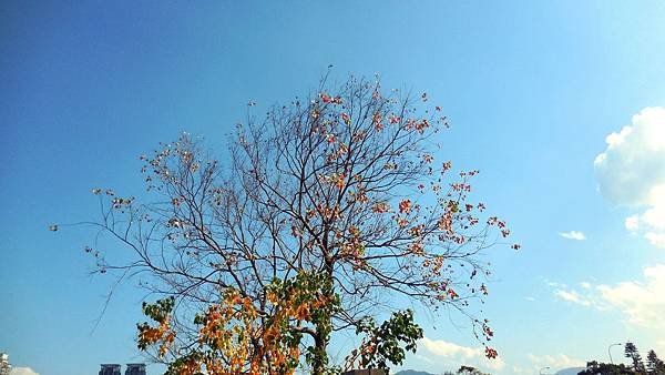 37-DSCN2964.JPG
