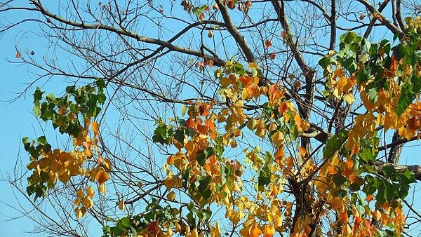 38-DSCN2966.JPG