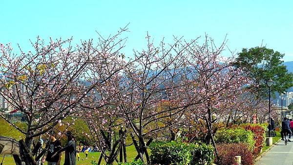 41-DSCN2971.JPG