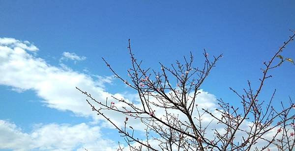 43-DSCN3035.JPG