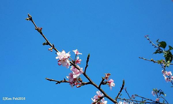 79-DSCN3003.JPG