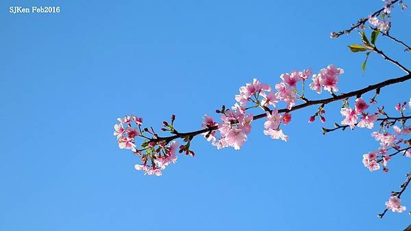 82-DSCN3012.JPG