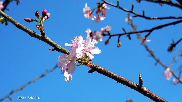 84-DSCN2990.JPG