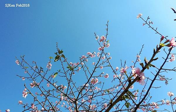 91-DSCN2997.JPG