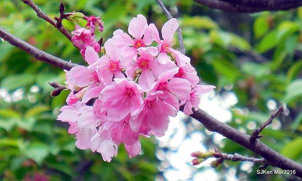 08-DSCN6694.JPG