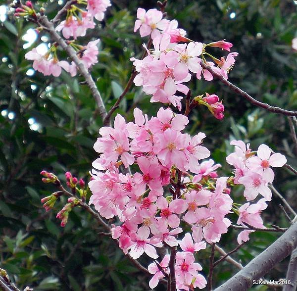 14-DSCN6670.JPG