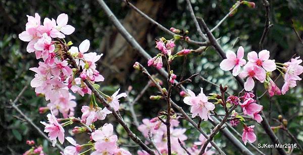 18-DSCN6669.JPG