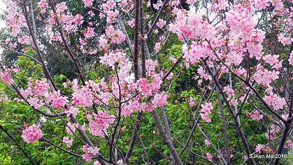 21-DSCN6689.JPG