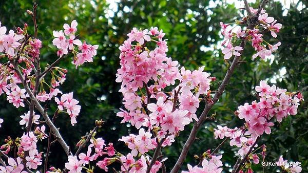 23-DSCN6693.JPG