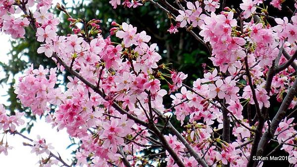 24-DSCN6692.JPG