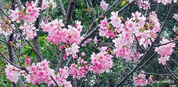 33-DSCN6657.JPG