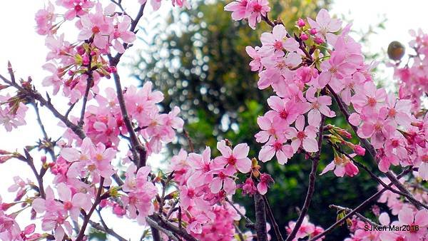 35-DSCN6679.JPG