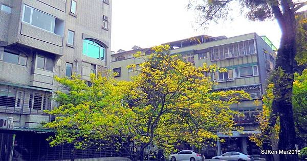 60-DSCN6646.JPG