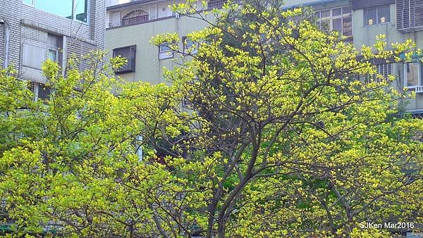 61-DSCN6645.JPG