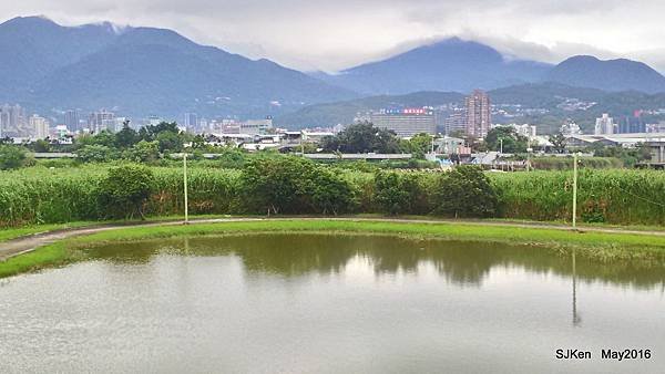13-P_20160417_145325_HDR.JPG