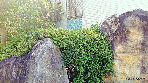 10-P_20160716_153058.JPG