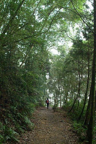 這次走不一樣的路徑，由橫嶺山自然步道出發.JPG