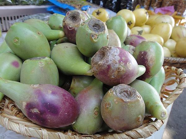 澎湖名產，仙人掌果實！