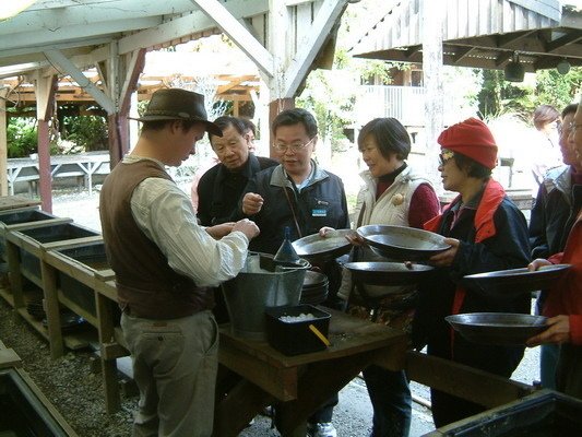 紐西蘭南島(二)仙蒂鎮、福斯冰河