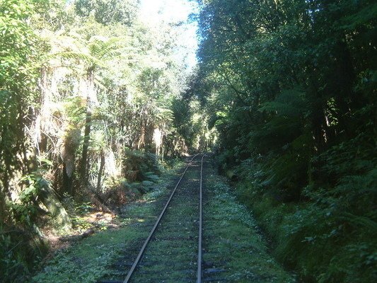 紐西蘭南島(二)仙蒂鎮、福斯冰河