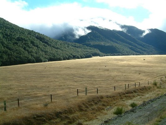 紐西蘭南島(一)基督城、高山景觀火車