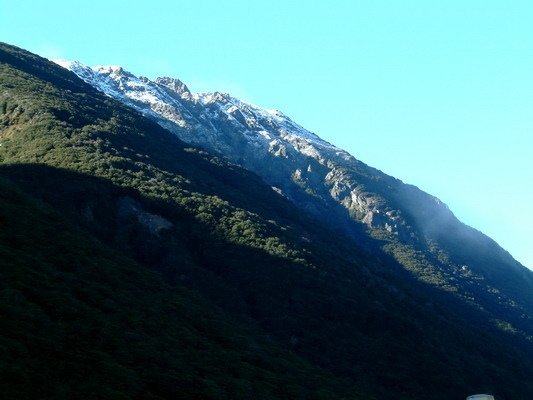 紐西蘭南島(一)基督城、高山景觀火車