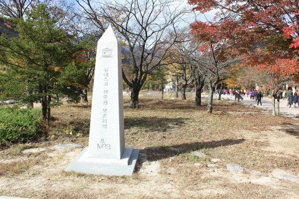 韓國釜山華僑高等部第十屆全球同學會(二)雪嶽山 新興寺
