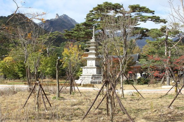 韓國釜山華僑高等部第十屆全球同學會(二)雪嶽山 新興寺