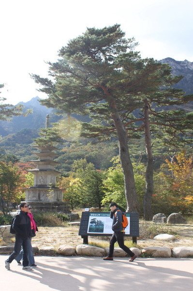 韓國釜山華僑高等部第十屆全球同學會(二)雪嶽山 新興寺