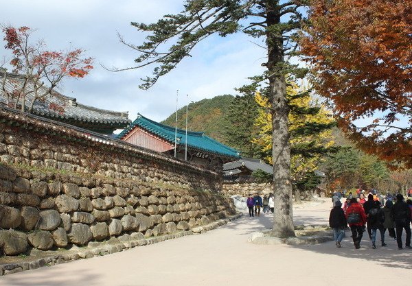 韓國釜山華僑高等部第十屆全球同學會(二)雪嶽山 新興寺